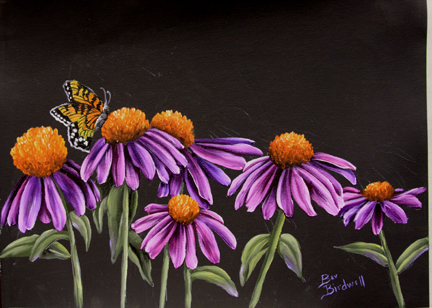 Cone Flowers and Butterfly 12x16 Woil/Oil $10.00